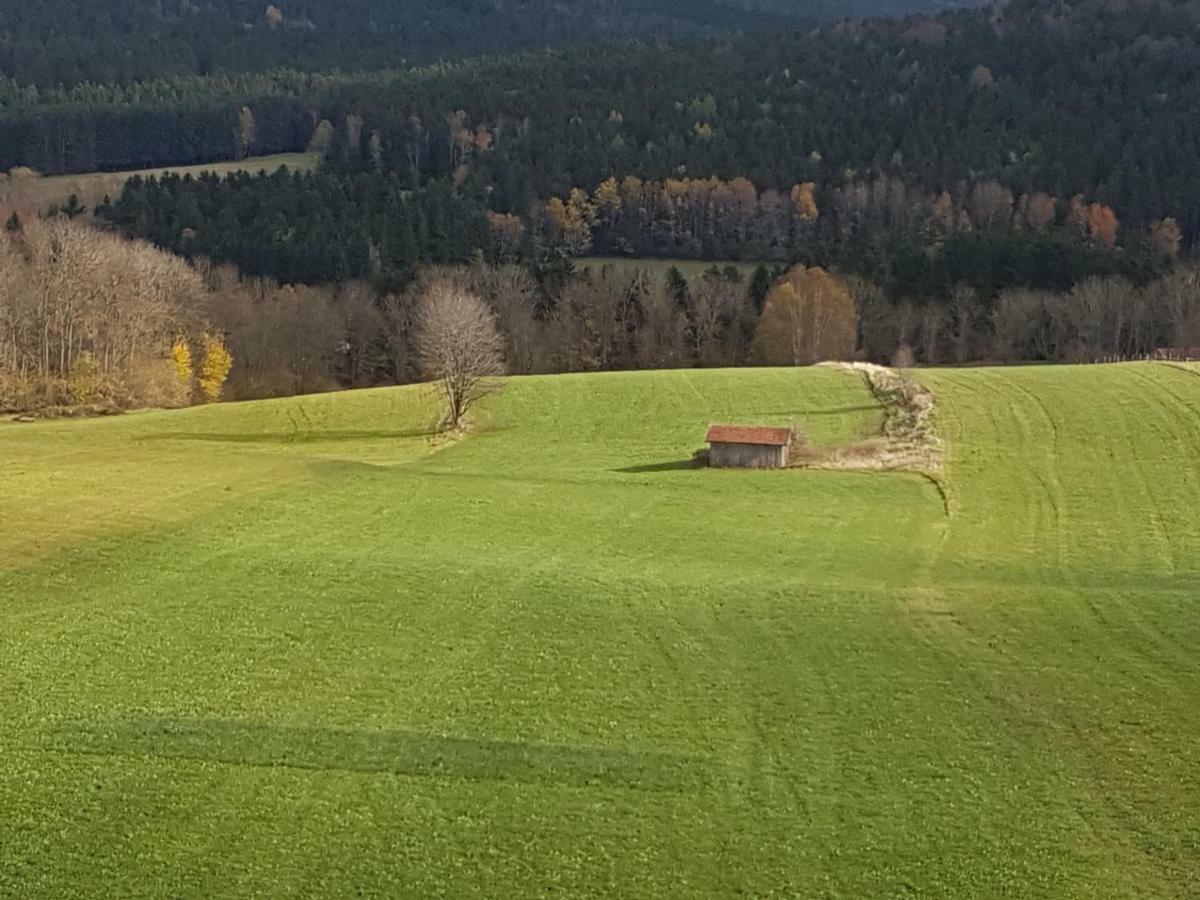 Gut Steinhuegel Lägenhet Bischofsmais Exteriör bild